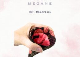 Megane (13)