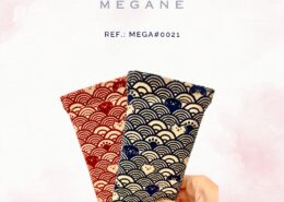 Megane (16)