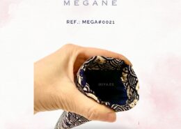 Megane (17)