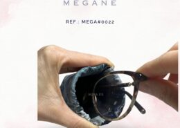 Megane (19)