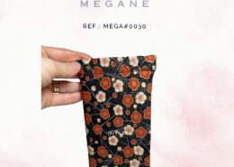 Megane (41)