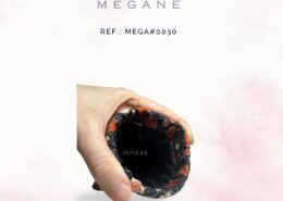Megane (42)
